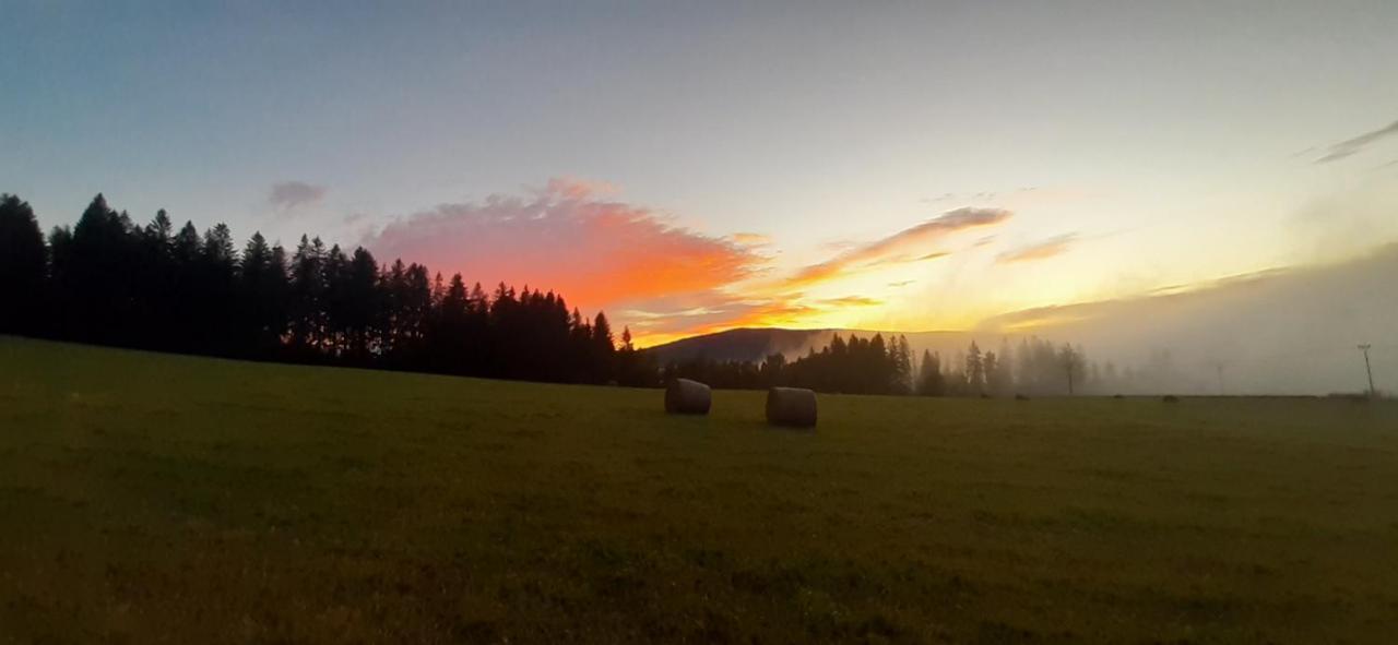 Отель Penzion U Draci Skaly Svojse Экстерьер фото
