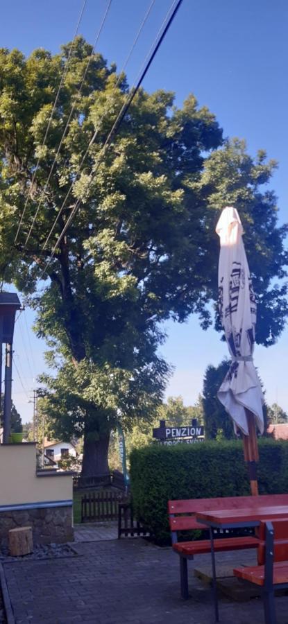 Отель Penzion U Draci Skaly Svojse Экстерьер фото
